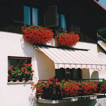 Zrm Center Apartment Idrija Luaran gambar